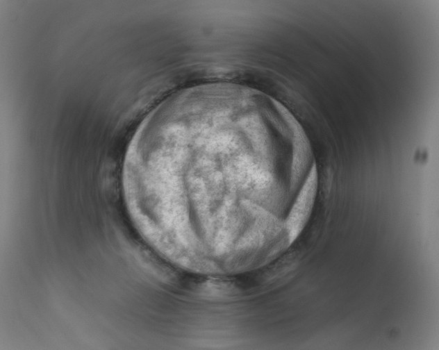 X0000112210270200909041348