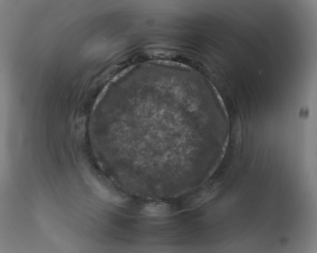 X0000112210271200909041348