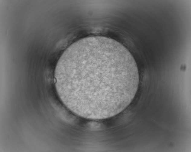 X0000112210272200909041348
