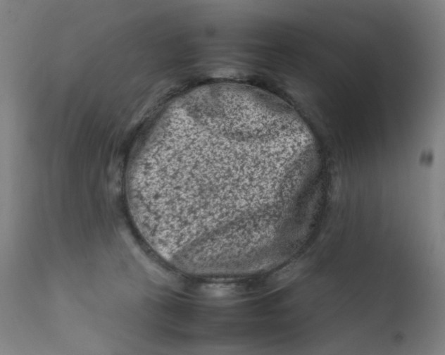 X0000112210273200909041348