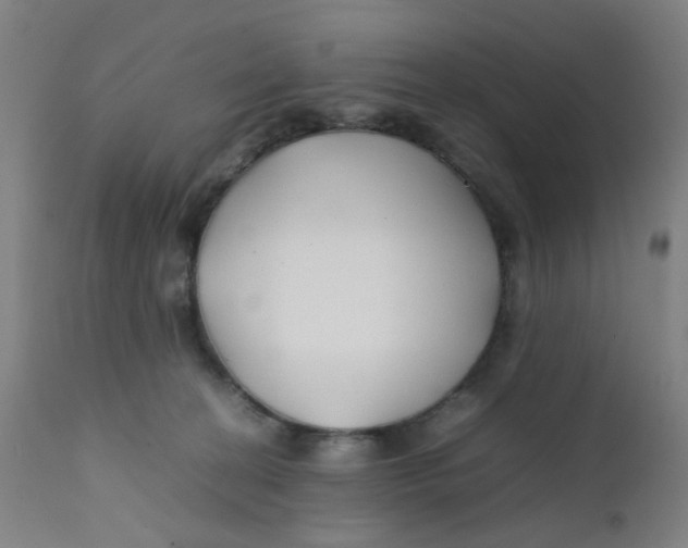 X0000112210274200909041348
