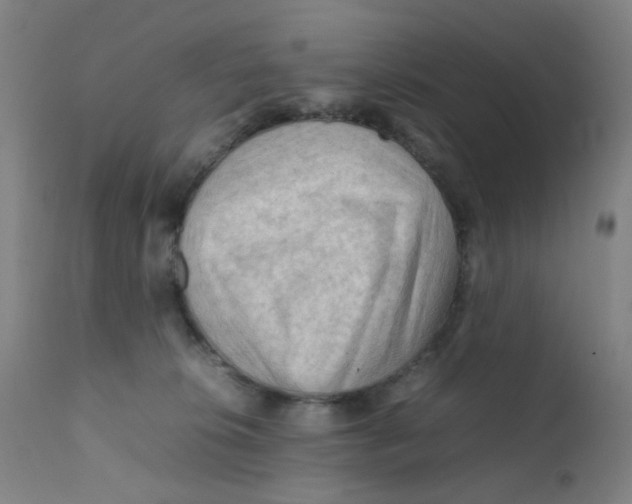 X0000112210276200909041348