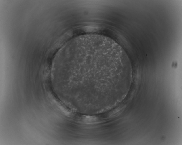 X0000112210277200909041348