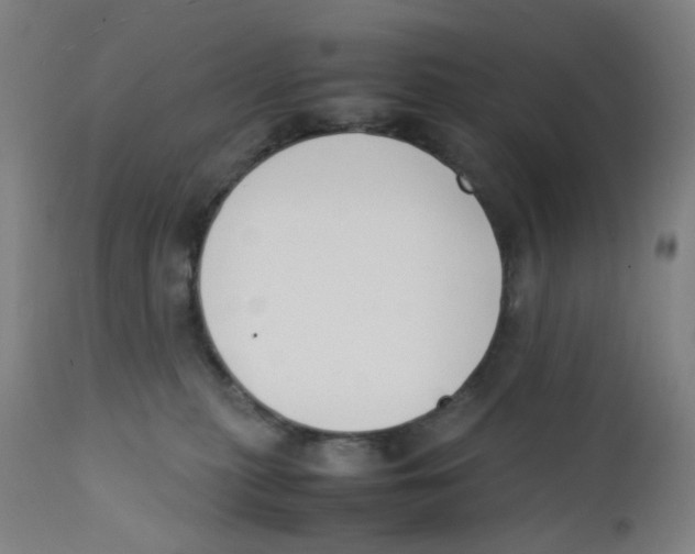 X0000112210279200909041348