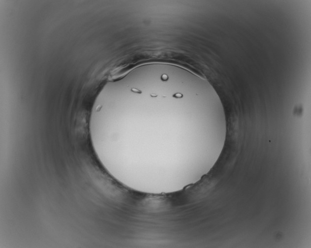 X0000112210280200909041348