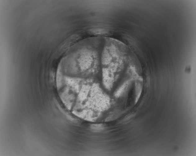 X0000112210281200909041348