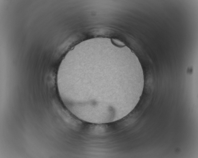 X0000112210282200909041348