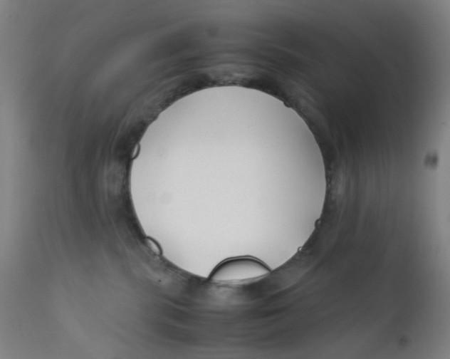 X0000112210283200909041348