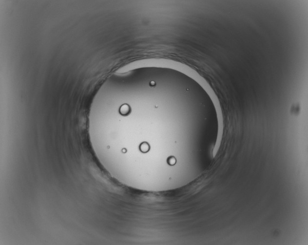 X0000112210284200909041348