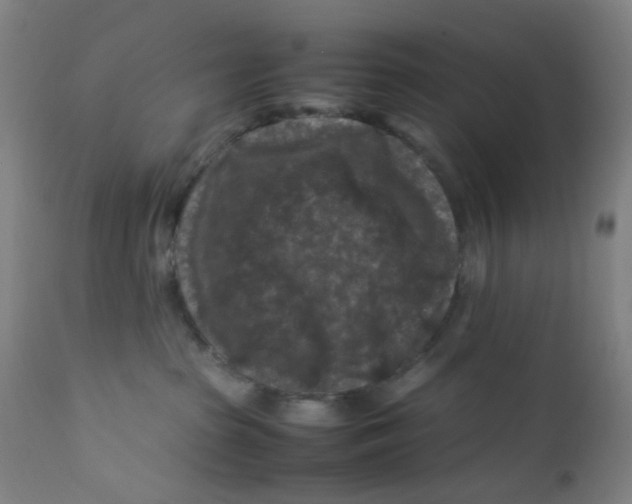X0000112210285200909041348