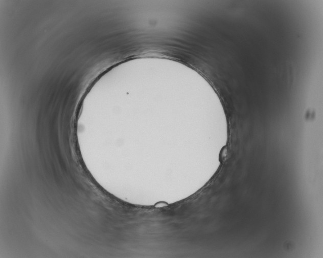 X0000112210289200909041347
