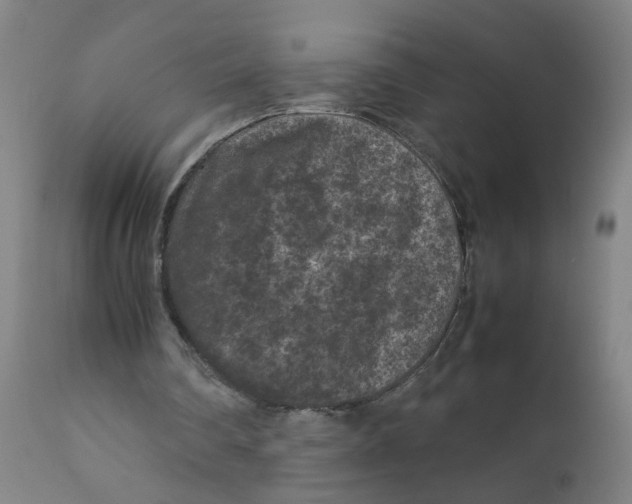 X0000112210290200909041347