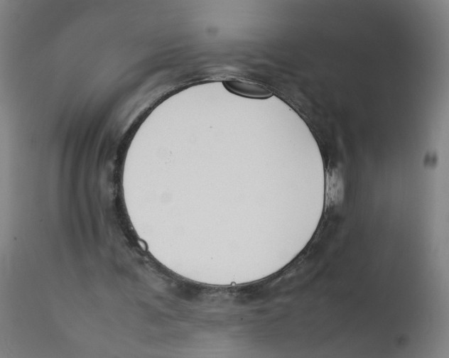 X0000112210291200909041347