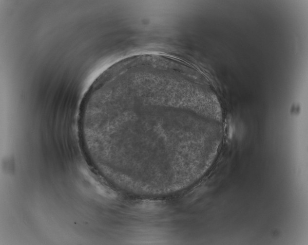 X0000112210292200909041347