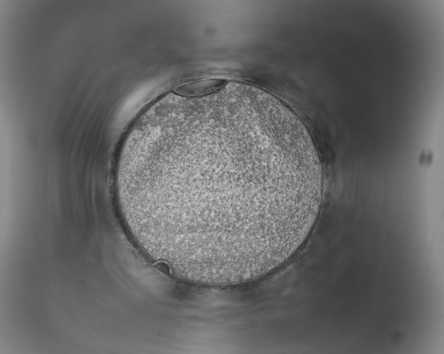 X0000112210293200909041347