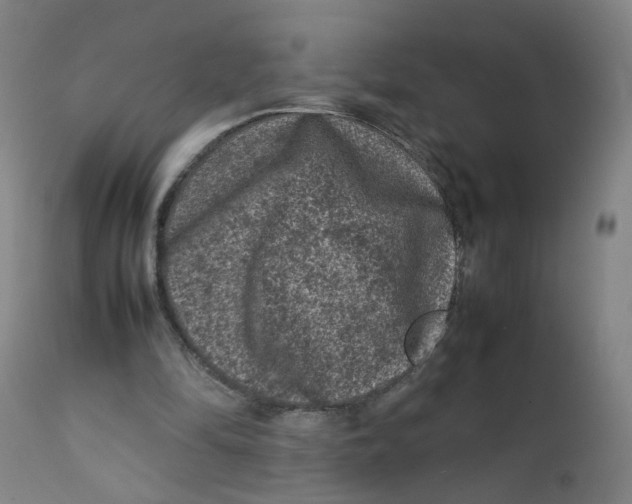 X0000112210294200909041347