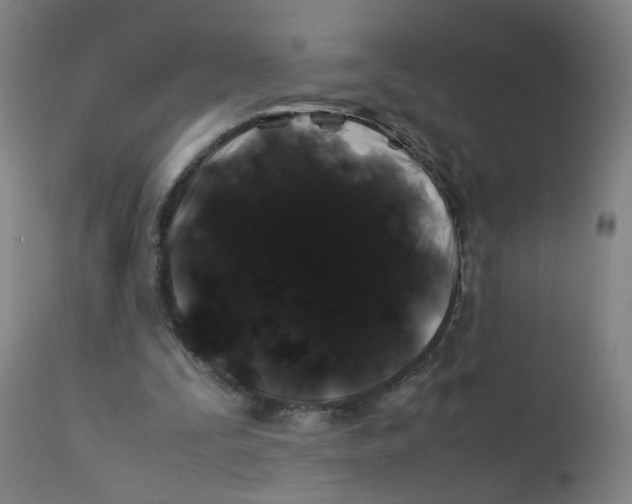 X0000112210295200909041347