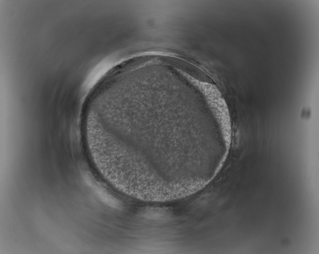 X0000112210296200909041347