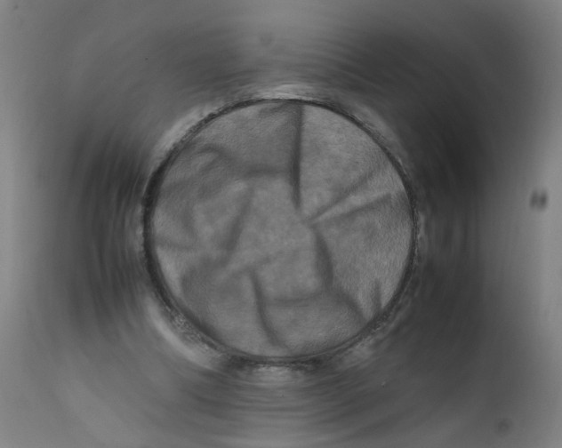 X0000112210298200909041347