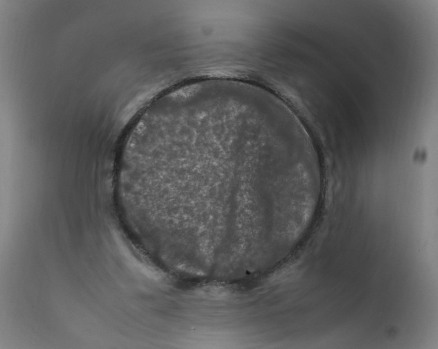 X0000112210299200909041347