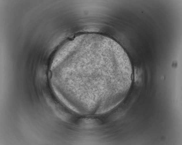 X0000112210300200909041347
