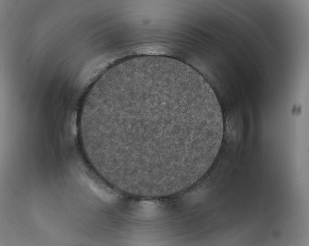 X0000112210302200909041347