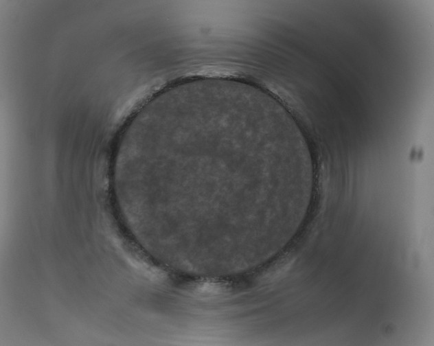 X0000112210303200909041347