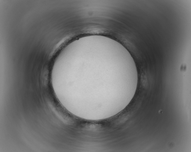 X0000112210304200909041347