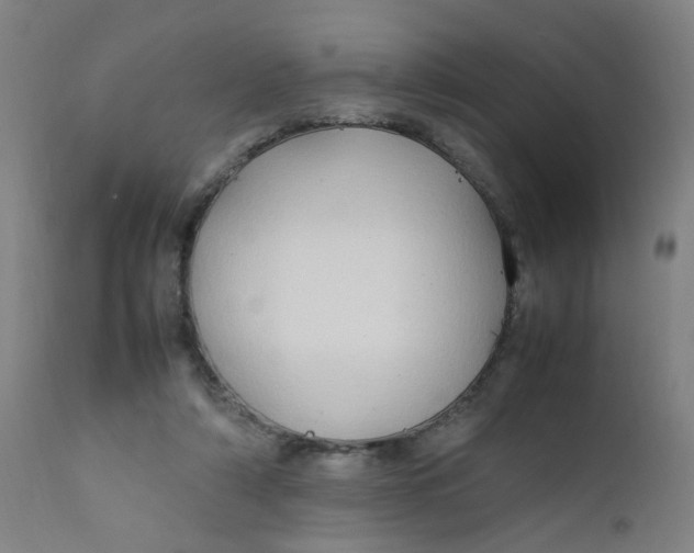 X0000112210306200909041347