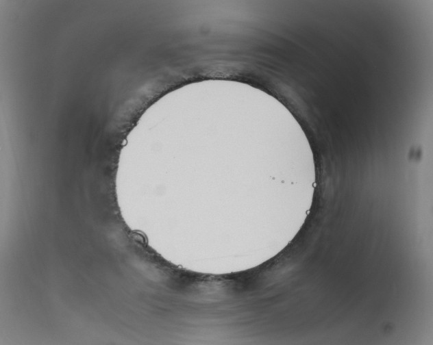 X0000112210307200909041347