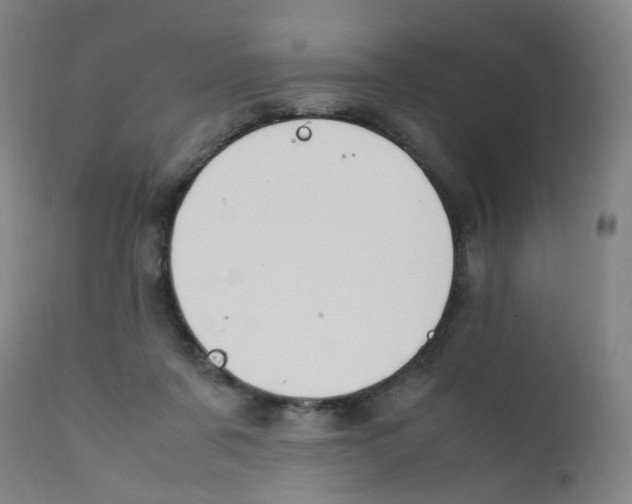 X0000112210311200909041347