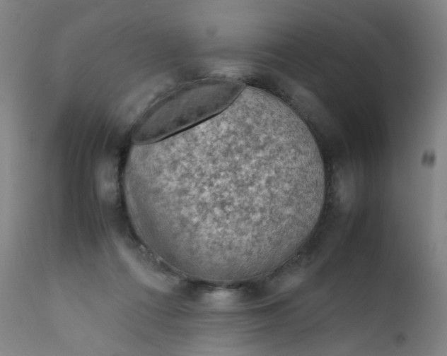 X0000112210312200909041347
