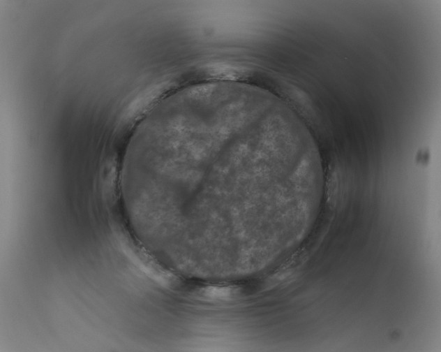 X0000112210314200909041347