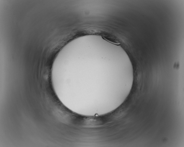 X0000112210315200909041347