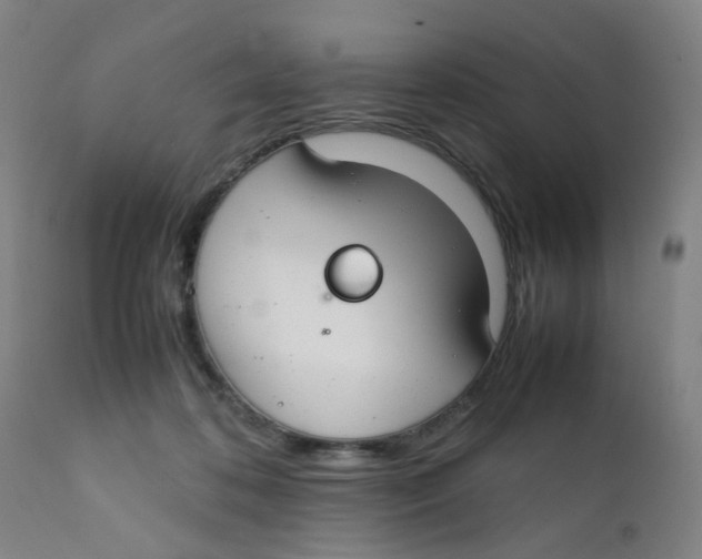 X0000112210316200909041347