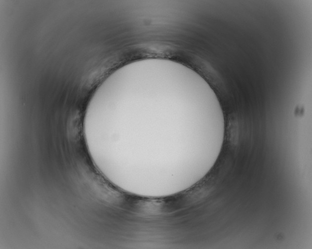 X0000112210318200909041347