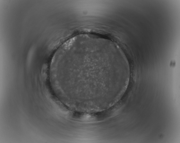 X0000112210319200909041347