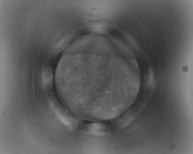 X0000112210320200909041347
