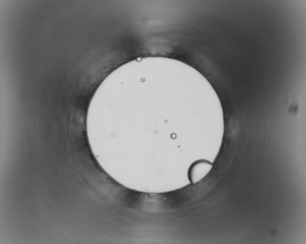 X0000112210321200909041347