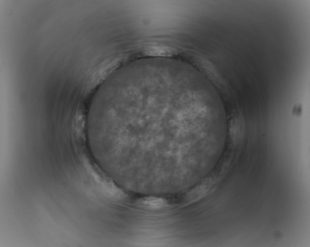 X0000112210322200909041347