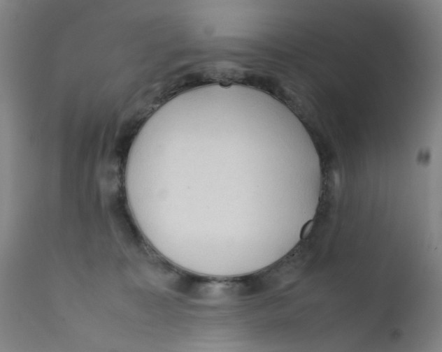 X0000112210323200909041347