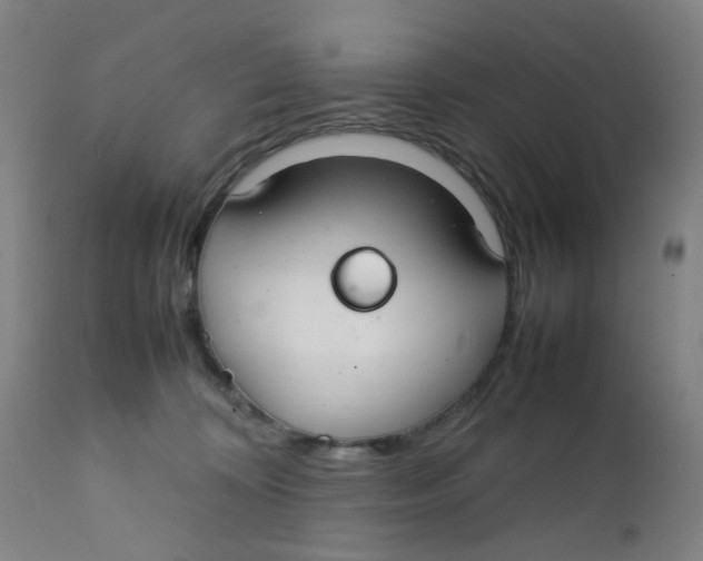 X0000112210324200909041347
