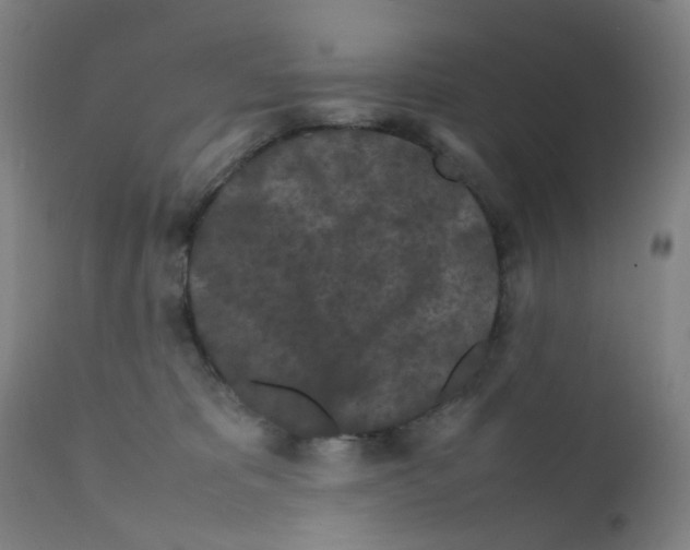 X0000112210325200909041347
