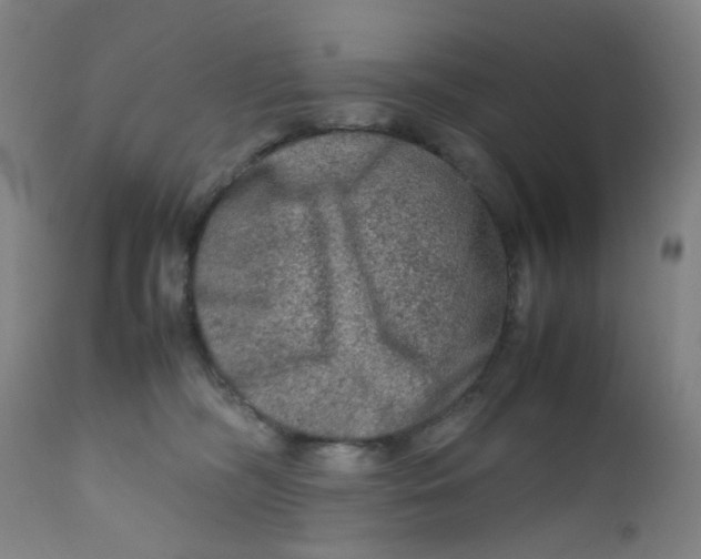 X0000112210326200909041347