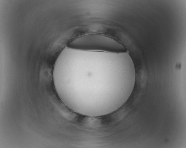 X0000112210327200909041347