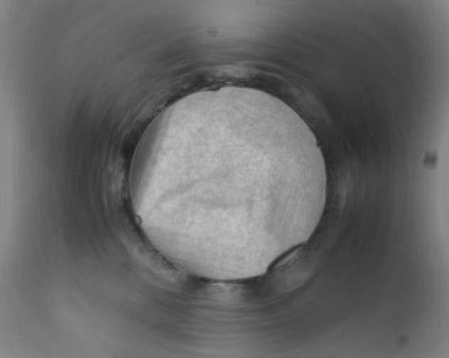 X0000112210328200909041347