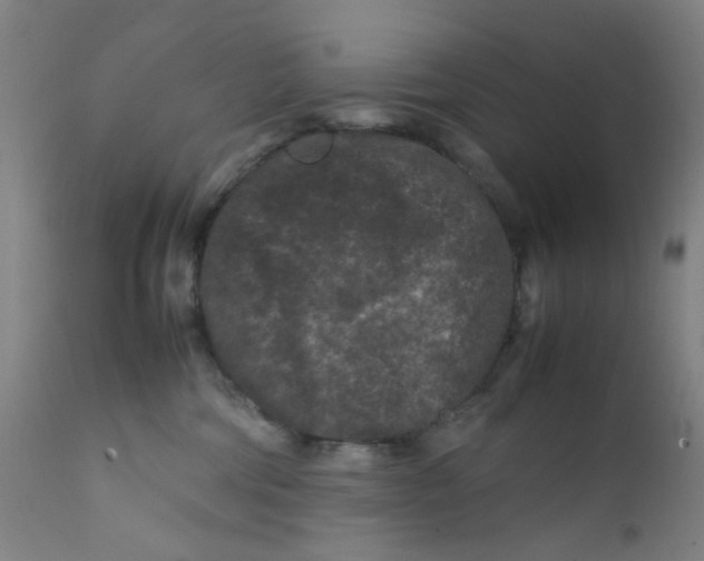 X0000112210330200909041347