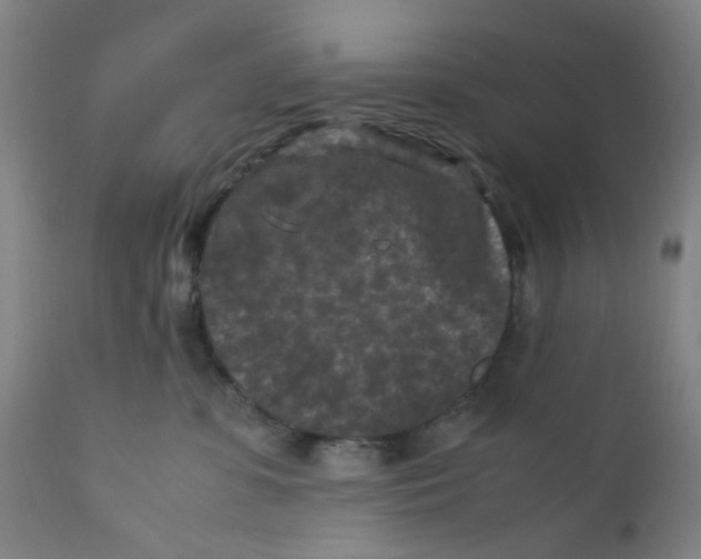 X0000112210331200909041347