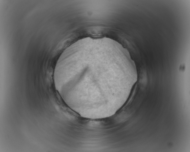 X0000112210332200909041347