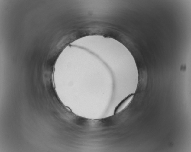 X0000112210333200909041347
